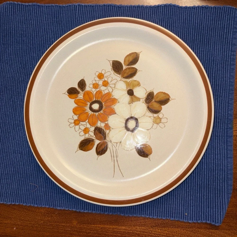 Woodhaven stoneware style Pleasant lot 7 plates 10.75 diameter made Japan - Picture 6 of 6